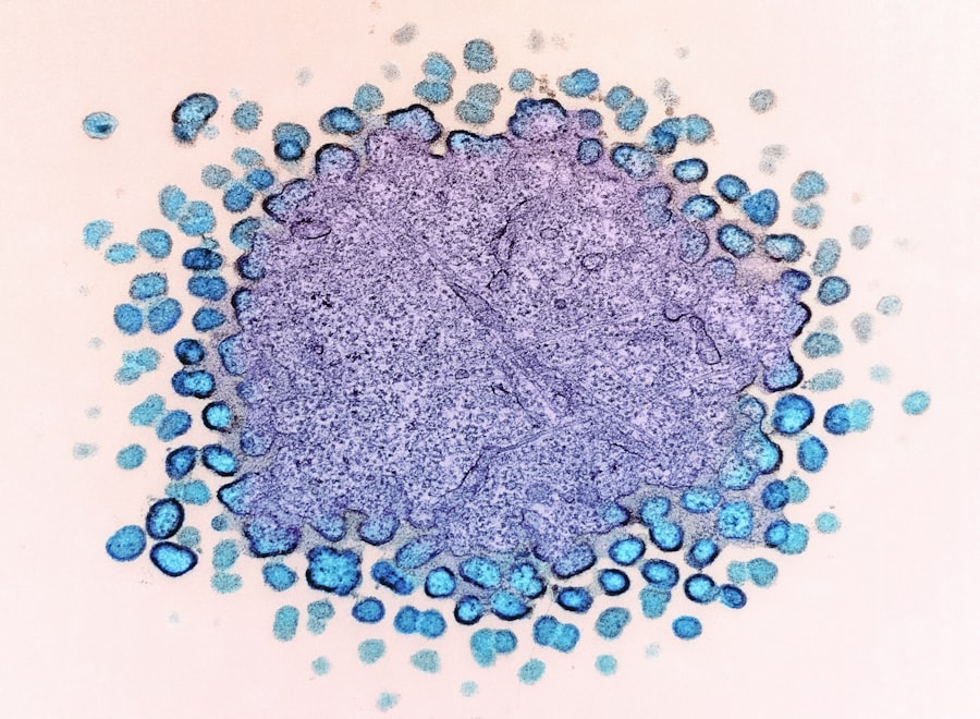 Photo Biomarkers